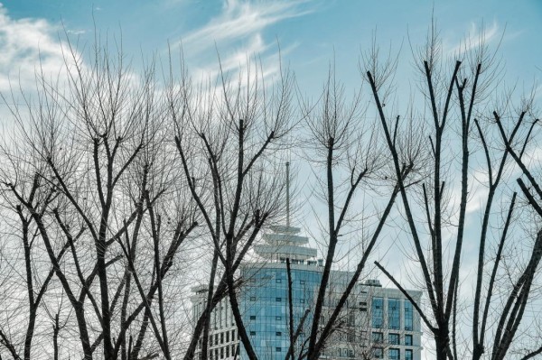 3 апреля - события дня 