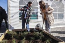 Александр Моор: проект "Экософия" объединил неравнодушную к вопросам экологии молодежь