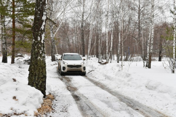 Тюменцам напоминают о разрешенных местах отдыха в городских лесах