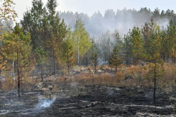 Полицейские задержали виновного в пожаре на Велижанском тракте под Тюменью