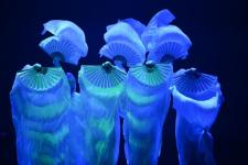 В Тюмени объявили обладателей Гран-при областной "Студенческой весны"