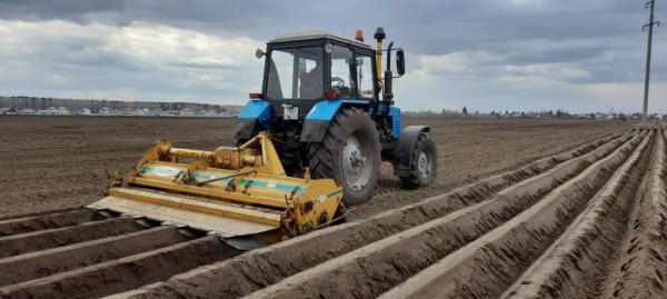 В Тюменской области начали сев моркови