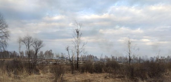 В Тюменском районе ликвидировали ландшафный пожар