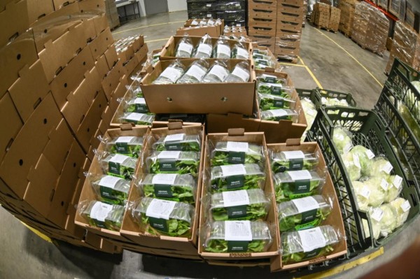 Оборот оптовой торговли в Тюменской области превысил 167 млрд рублей за два месяца 