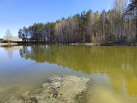 Мальков белого амура и карпа выпустили в озеро Бирюзовое сотрудники тюменского водоканала