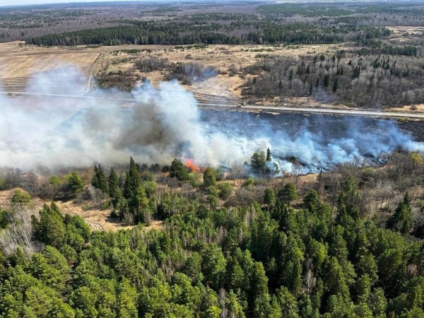 Два лесных пожара на площади 412,2 га потушили в Тюменской области за сутки