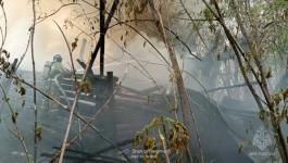 Тюменские пожарные потушили огонь, угрожавший лесному массиву в Заводоуковске