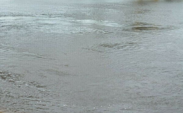 Тело молодого человека достали из Туры в Тюмени