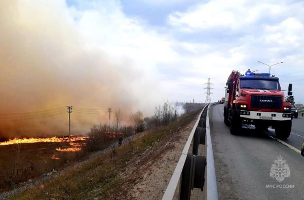 Ландшафтный пожар тушат на Тюменской кольцевой автодороге