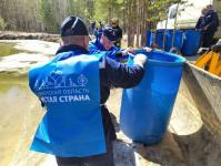 Мальков белого амура и карпа выпустили в озеро Бирюзовое сотрудники тюменского водоканала