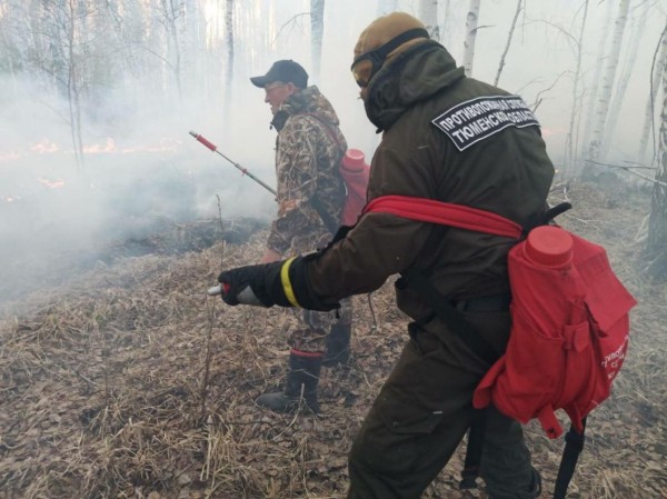 В Тюменской области ликвидирован лесной пожар в Богандинском муниципальном образовании
