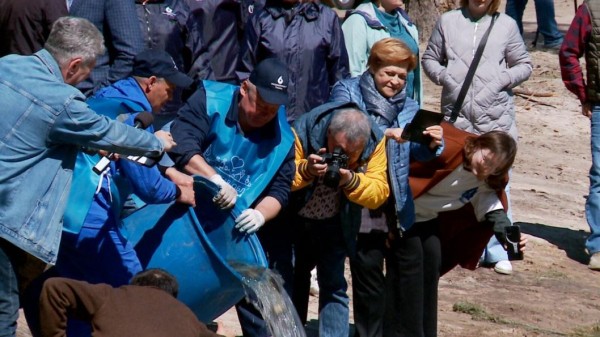 Мальков белого амура и карпа выпустили в озеро Бирюзовое сотрудники тюменского водоканала