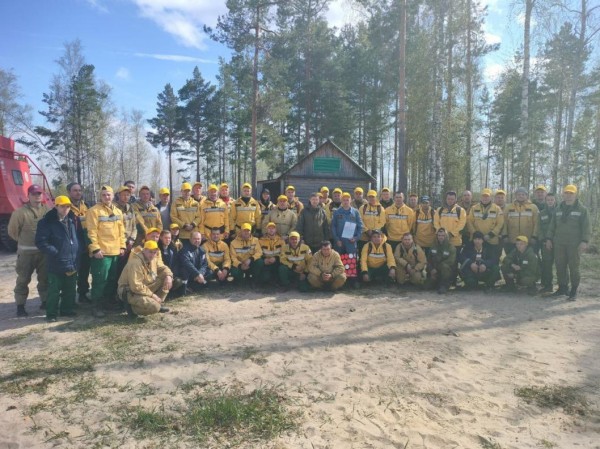 Лесной пожар у д. Речкина Тюменского района локализовали на площади 4150 га