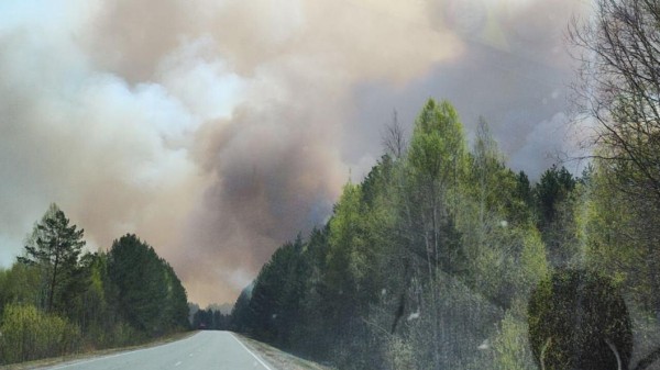 Пожар в Нижнетавдинском районе не угрожает селу Сартово 