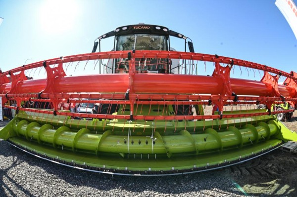 В Тюменской области техническими культурами засеяли 26,6 тысячи гектаров