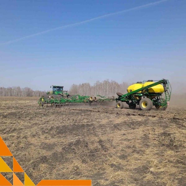 В 10 районах Тюменской области под посев гороха хозяйства отвели 60 тысяч гектаров