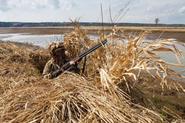 В Тюменской области оштрафовали 15 охотников за нарушение правил и сроков охоты