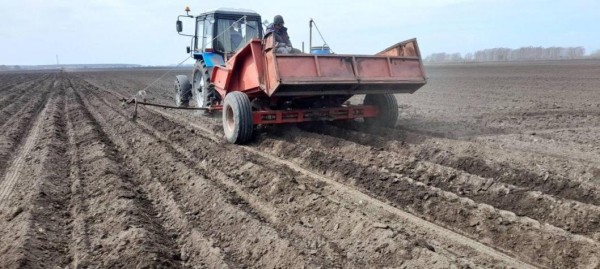 Сельхозпредприятия Тюменской области провели раннее боронование 790 тысяч га полей