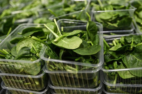 Тюменское предприятие получило 5,7 тонн рукколы, мангольда и шпината из Узбекистана