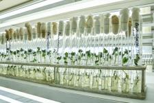 Губернатор Тюменской области посетил лаборатории и завод агрофирмы "КРиММ"