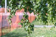 В Тюмени новый парк Болгаро-советской дружбы построят ко Дню города