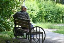 В Тюмени новый парк Болгаро-советской дружбы построят ко Дню города