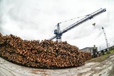 Тюменское предприятие "Сибжилстрой" производит до 27 % всех цементно-стружечных плит в России