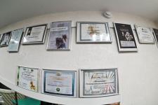 К ялуторовскому грумеру Ольге Ольховой везут шнауцеров из разных городов