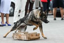 Лучшие вакансии представили работодатели в Тюменском технопарке