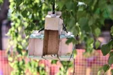 В Тюмени новый парк Болгаро-советской дружбы построят ко Дню города