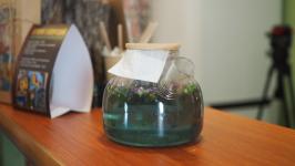 Туристы из Санкт-Петербурга и Москвы увозят тобольские пряники пакетами