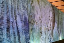 В Тюмени открылась персональная выставка Никаса Сафронова