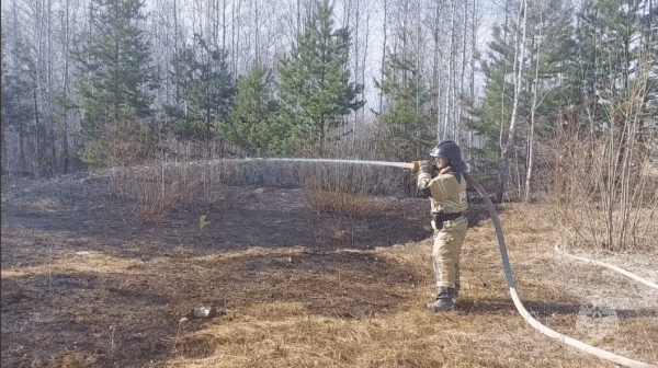 12 природных пожаров ликвидировали в Тюменской области за сутки
