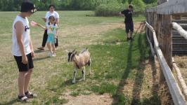 Подоить коз и вылепить сибирские пельмени в "Золотую подкову" приезжают даже с Камчатки