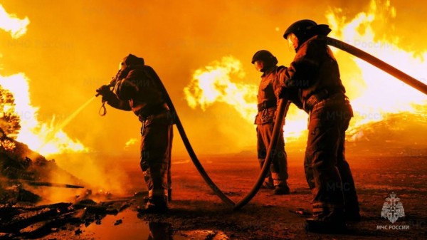 В тюменском СНТ "Липовый остров" сгорели два жилых дома В тюменском СНТ "Липовый остров" сгорели два жилых дома