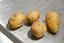 Губернатор Тюменской области посетил лаборатории и завод агрофирмы "КРиММ"