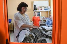 Ветеринары Зимины из Ялуторовска развивают бизнес при господдержке
