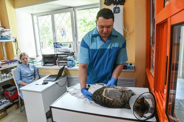 Ветеринары Зимины из Ялуторовска развивают бизнес при господдержке