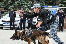 Лучшие вакансии представили работодатели в Тюменском технопарке