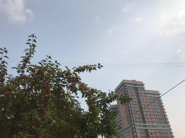 В пробах воздуха Тюмени не обнаружили превышения вредных веществ В пробах воздуха Тюмени не обнаружили превышения вредных веществ