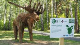 Команда дизайнеров из Новосибирска завоевала первое место с "Добрым ежом" на "Экофесте" в Тюмени 