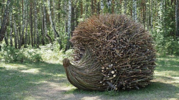 Команда дизайнеров из Новосибирска завоевала первое место с "Добрым ежом" на "Экофесте" в Тюмени 