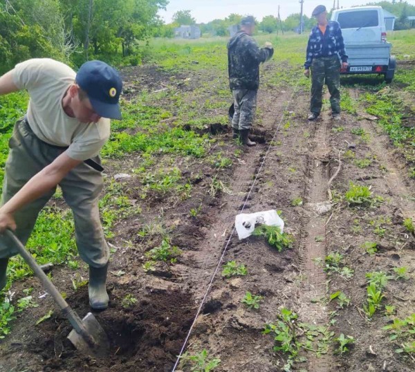 Жители Армизонского района посадили кедры