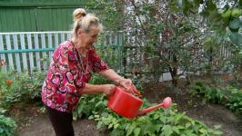 Супруги из Тюменской области отметили 60 лет совместной жизни