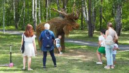 Команда дизайнеров из Новосибирска завоевала первое место с "Добрым ежом" на "Экофесте" в Тюмени 