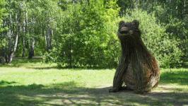 Команда дизайнеров из Новосибирска завоевала первое место с "Добрым ежом" на "Экофесте" в Тюмени 