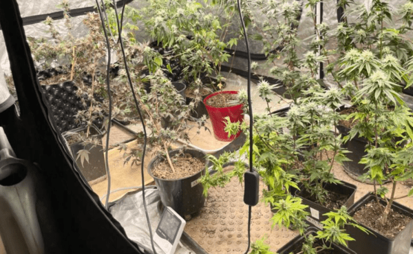 Тюменские полицейские раскрыли нарколабораторию Тюменские полицейские раскрыли нарколабораторию