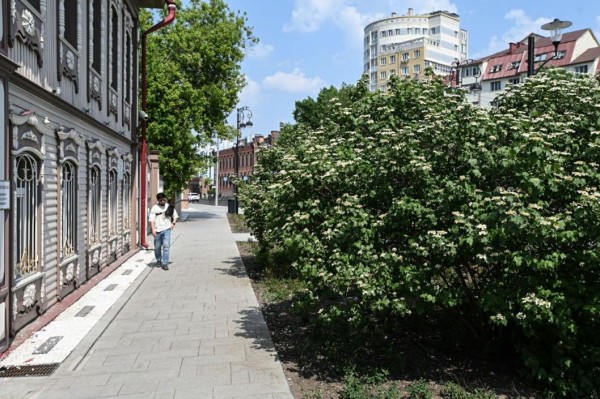 273 иностранца из дальнего зарубежья переехали в Тюменскую область в 2023 году