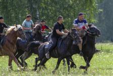 Лучших наездников определили в Заводоуковском городском округе