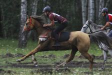 Лучших наездников определили в Заводоуковском городском округе